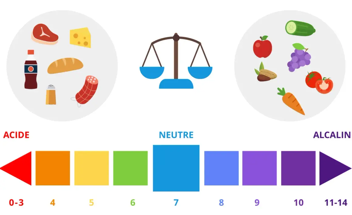 Illustration du **régime acido basique** : aliments acides (viande, fromage, pain, cola) vs alcalins (fruits, légumes, noix). Balance et échelle pH.