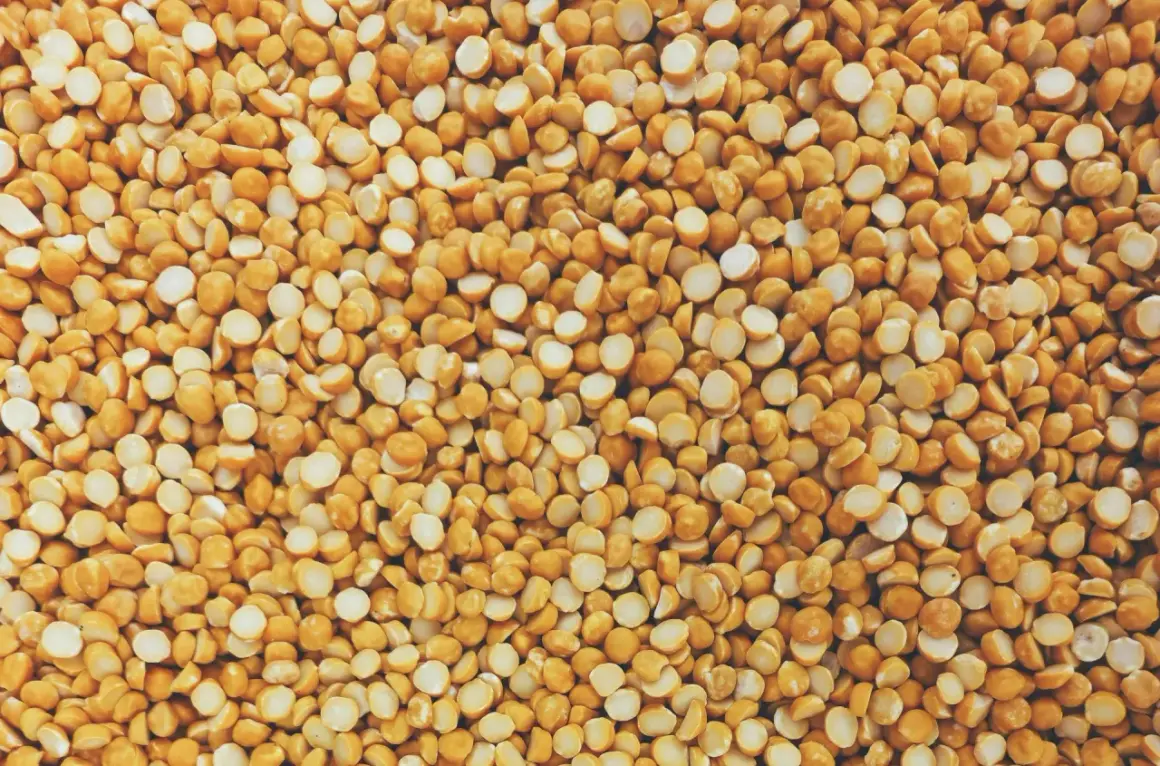 Gros plan sur une texture de pois cassés jaunes, une excellente source de proteine de pois pour une alimentation saine.