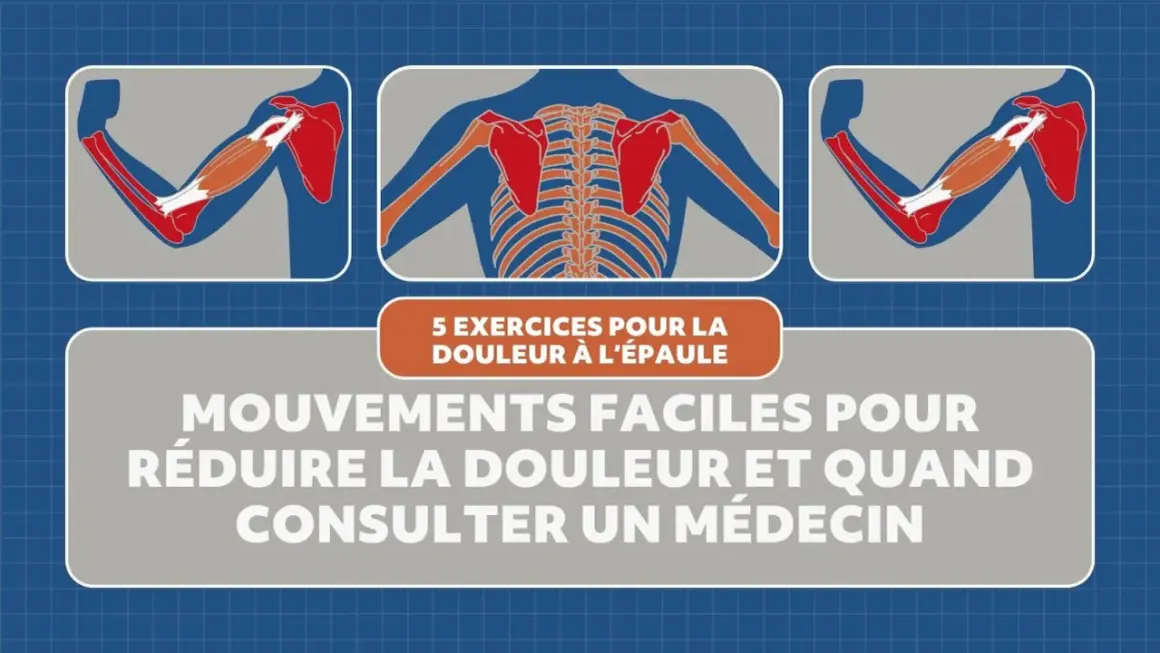 Illustrations anatomiques montrant des muscles et des os de l'épaule, avec le titre "5 exercices pour la douleur à l'épaule". Idéal pour un exercice mobilité épaule.
