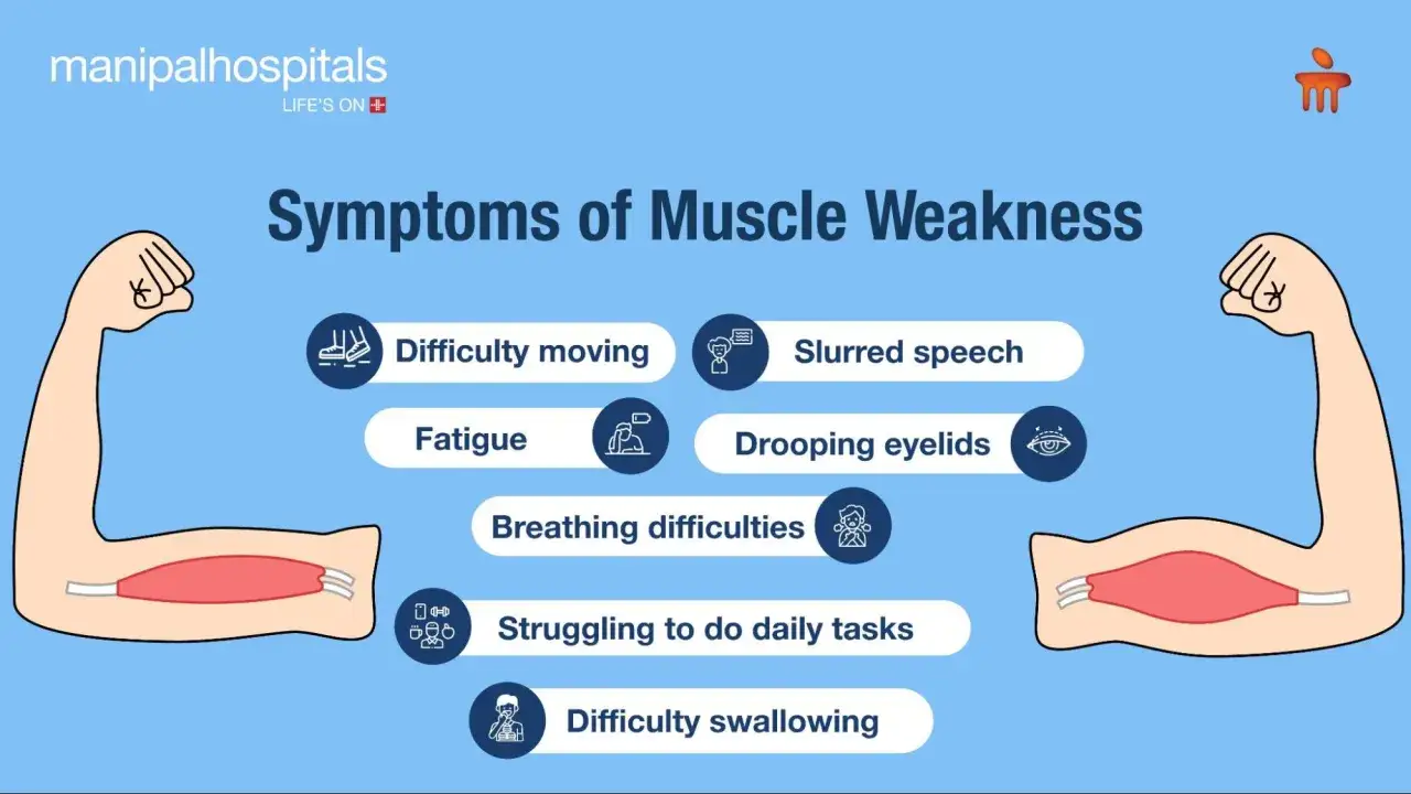 Symptômes de fonte musculaire : difficulté à bouger, fatigue, problèmes respiratoires, parole pâteuse, paupières tombantes, difficultés quotidiennes, déglutition difficile.