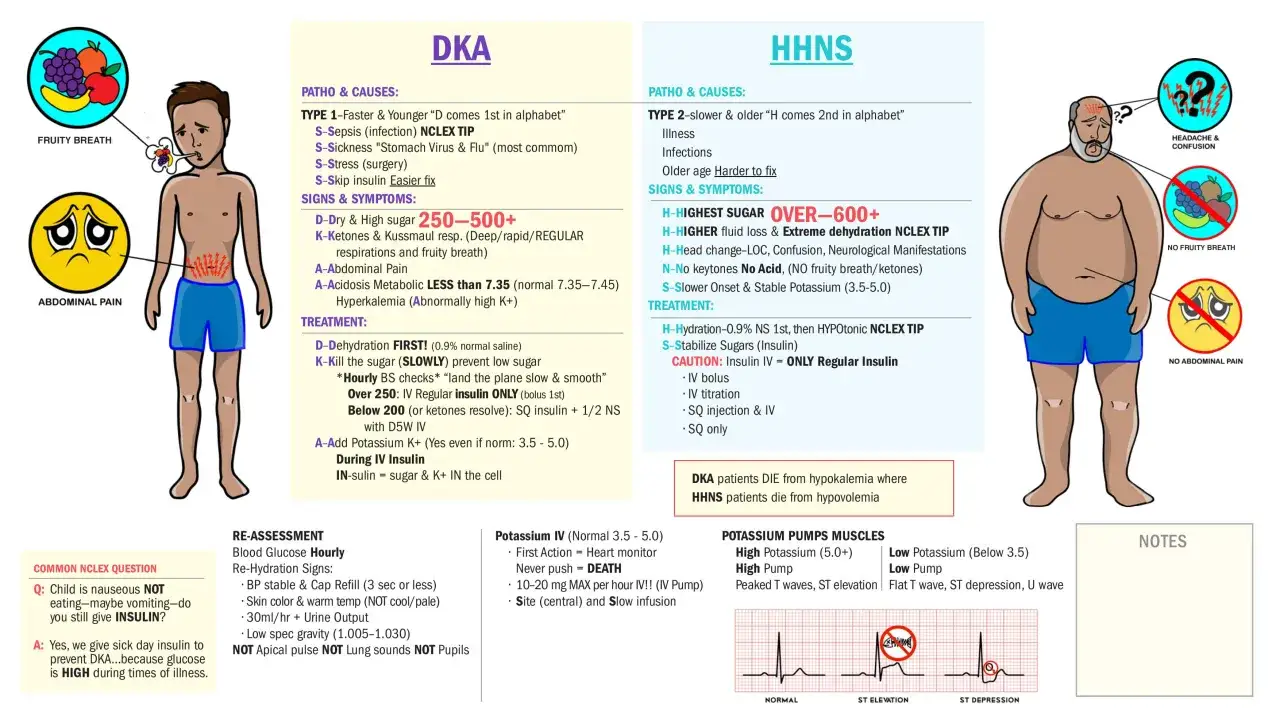 Glycémie 3g/dL : DKA ou HHNS ? Ce schéma explique les causes, symptômes et traitements, y compris quand donner de l'insuline.