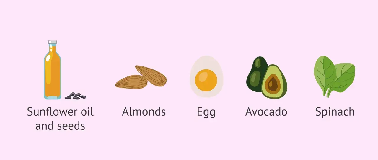 Huile de tournesol, amandes, œuf, avocat, épinards : des aliments riches en vitamine E pour une alimentation équilibrée.