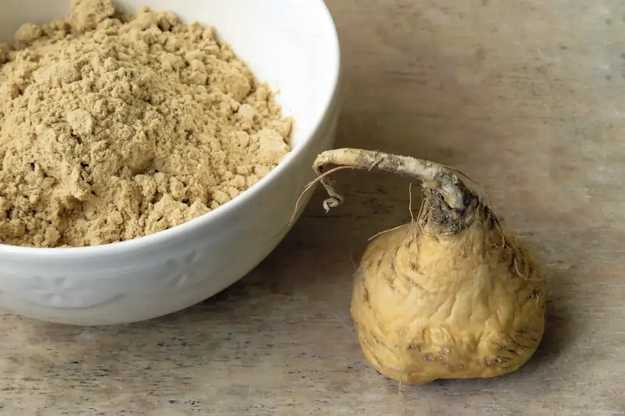 Racine de maca jaune à côté d'une poudre de maca dans un bol blanc. Attention au danger de la maca, une plante aux effets puissants.