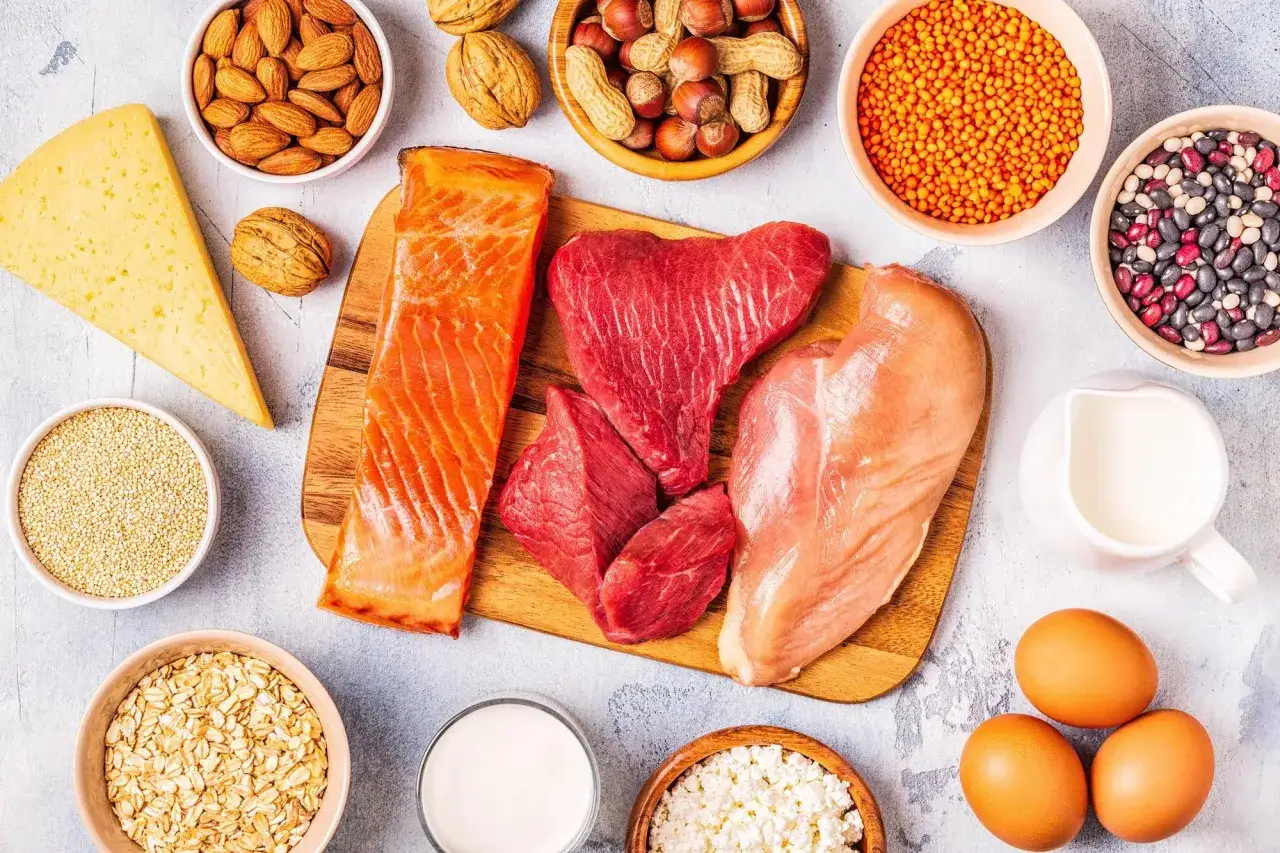 Un assortiment d'aliments riches en protéines : saumon, bœuf, poulet, œufs, fromage, amandes, noix, lentilles, haricots, quinoa, flocons d'avoine, lait et fromage blanc.