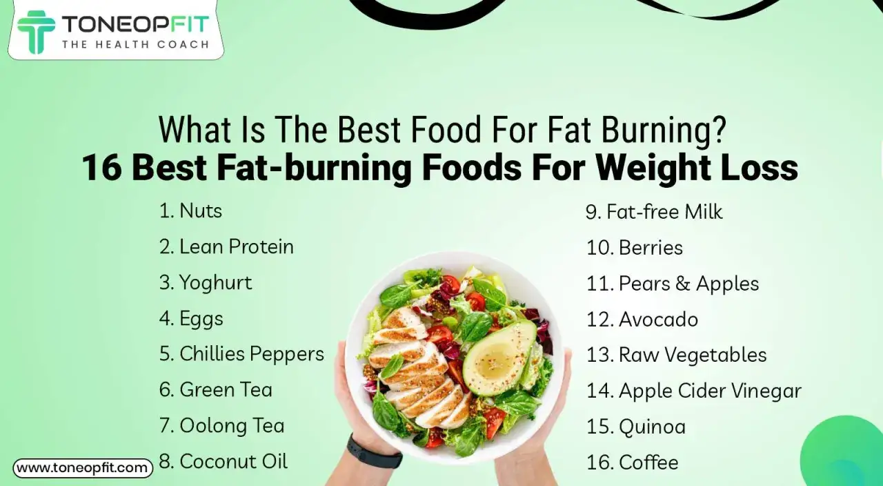 Liste des 16 meilleurs aliments pour un brule graisse naturel et la perte de poids, incluant poulet, avocat et thé vert.
