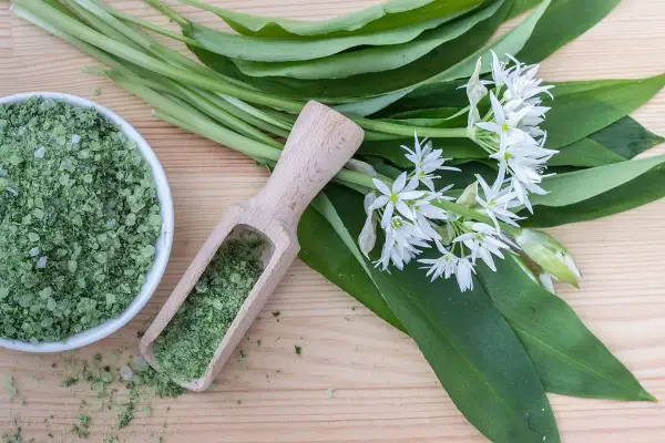 Sel de cuisine vert fait maison à base d'ail des ours, avec des feuilles et des fleurs fraîches.