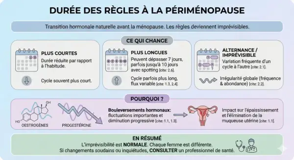 Périménopause : règles plus courtes, plus longues ou imprévisibles, parfois tous les 15 jours. Changements hormonaux expliquant ces variations.