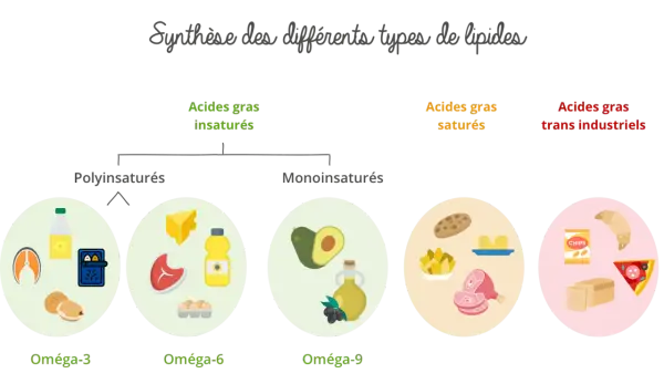Schéma des lipides : oméga-3, oméga-6, oméga-9, acides gras saturés (viande, beurre) et trans industriels (chips, croissant).
