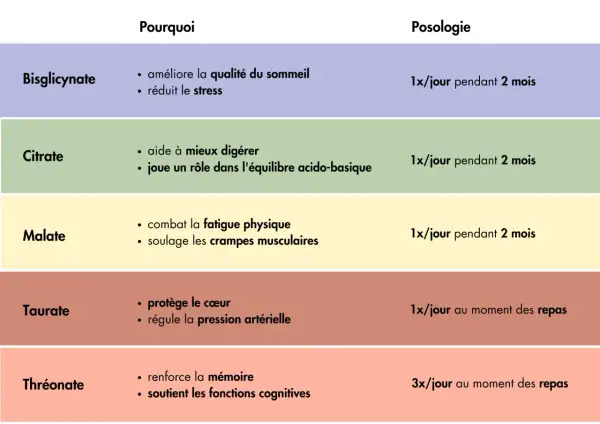 Tableau comparatif des formes de magnésium : Bisglycinate pour réduire le stress, Citrate pour la digestion, Malate pour la fatigue, Taurate pour le cœur, Thréonate pour la mémoire. Ces aliments magnésium aident à gérer le stress.