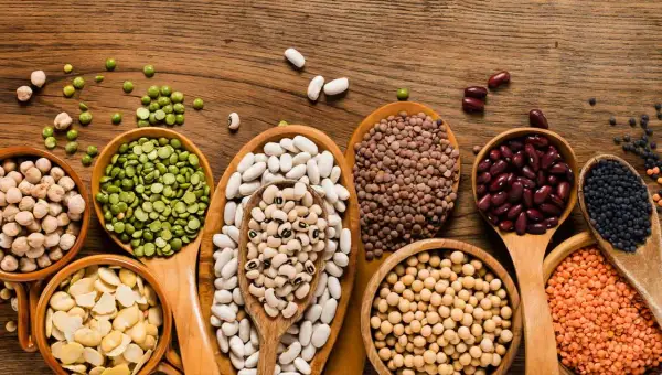 Assortiment de légumineuses : pois cassés, haricots blancs, lentilles, pois chiches, haricots rouges, soja, etc. pour savoir où trouver des protéines végétales.