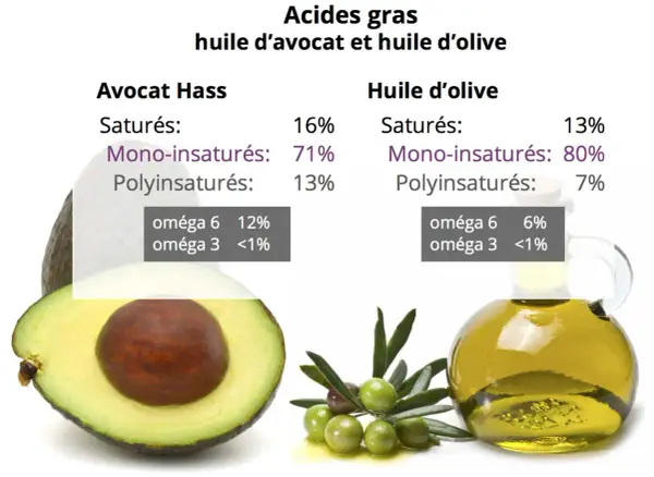 Comparaison des acides gras : l'avocat Hass et l'huile d'olive, révélant la valeur nutritionnelle de l'avocat avec 71% de mono-insaturés.