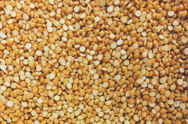 Gros plan sur une texture de pois cassés jaunes, une excellente source de proteine de pois pour une alimentation saine.