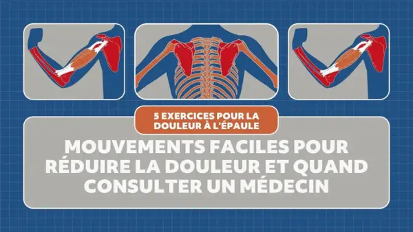 Illustrations anatomiques montrant des muscles et des os de l'épaule, avec le titre "5 exercices pour la douleur à l'épaule". Idéal pour un exercice mobilité épaule.