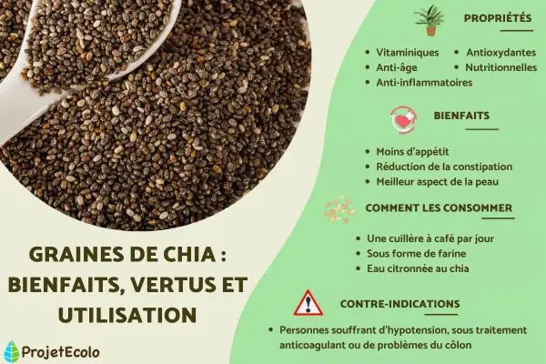 Graines de chia : une cuillère à café par jour pour leurs bienfaits vitaminiques, anti-âge et anti-inflammatoires.